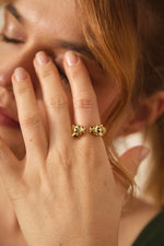 Anillo Malek