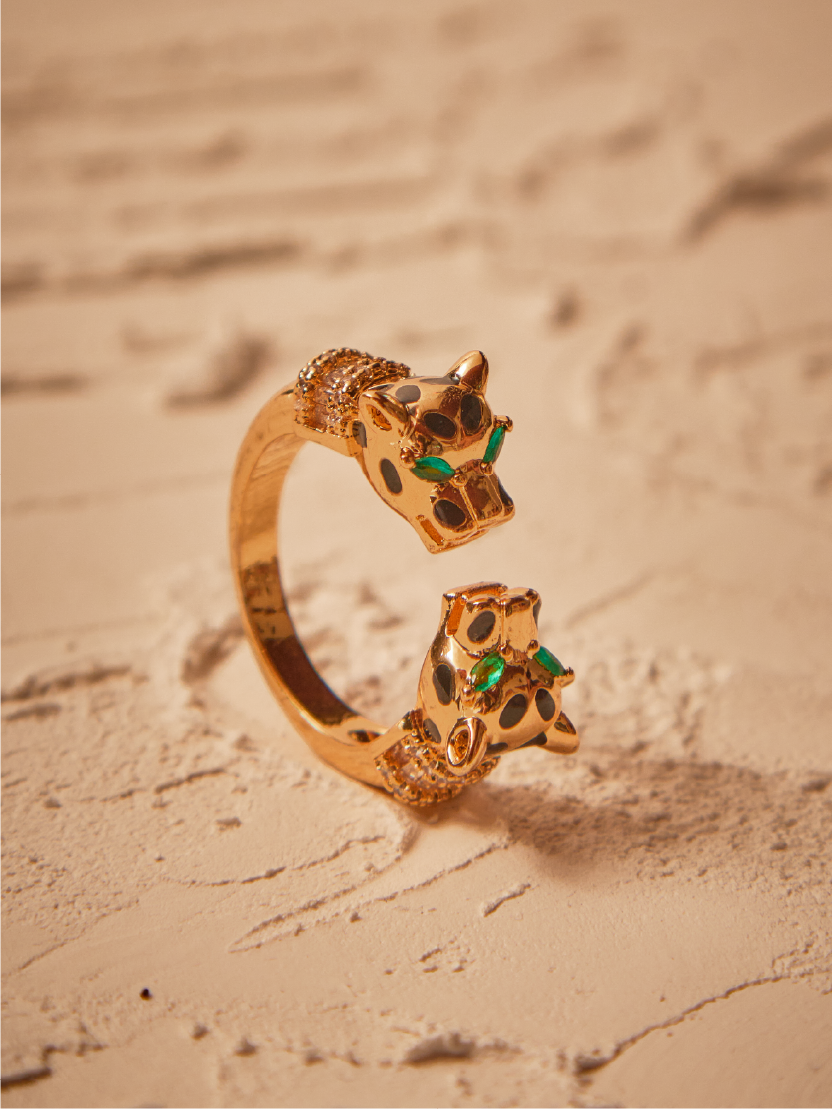Anillo Malek