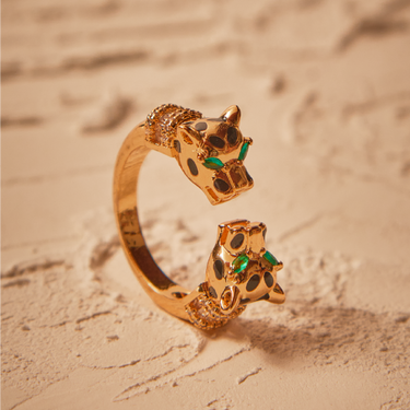 Anillo Malek
