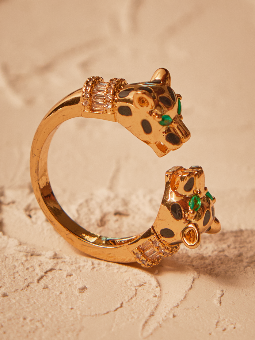Anillo Malek
