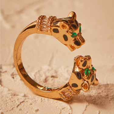 Anillo Malek