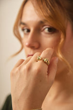 Anillo Malek